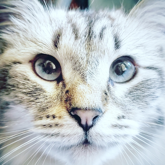 Meet your Posher, Stephanie Stina Stanard - Picture 6 of 8